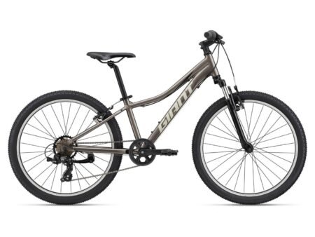 Kalnu velosipēds Giant XTC Jr 24 Metal (C)