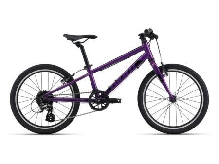 Bērnu velosipēds Giant ARX 20 Purple (C)
