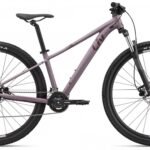 Kalnu velosipēds Liv Tempt 29 3 Purple Ash (X)