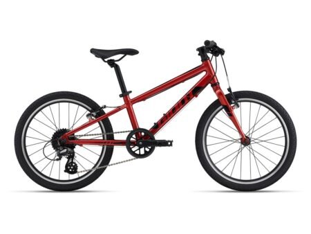 Bērnu velosipēds Giant ARX 20 Grenadine (X)