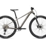 Kalnu velosipēds Liv Tempt 29 0 Metal