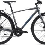 Pilsētas velosipēds Giant Escape 2 City Disc pelēks (C)
