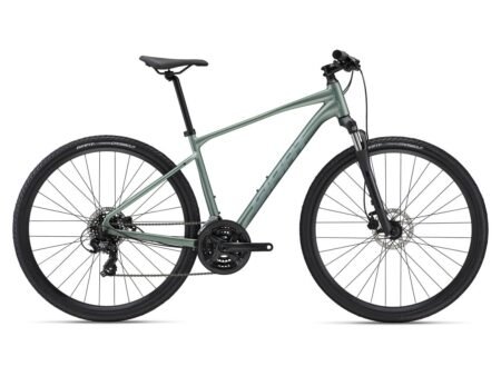 Kross velosipēds Giant Roam 4 Disc Misty Forest