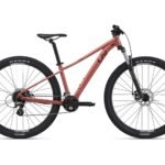 Kalnu velosipēds Liv Tempt 29 4 Terra Roza