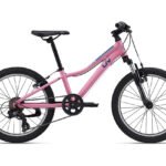 Bērnu velosipēds Liv Enchant 20 Azalea Pink (C)