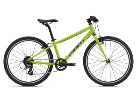Bērnu velosipēds Giant ARX 24 Lime Punch (2025.g.)