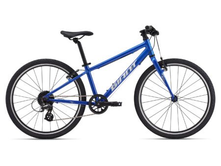 Bērnu velosipēds Giant ARX 24 Cobalt (2025.g.)