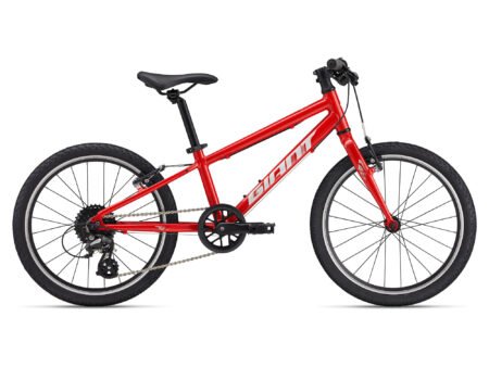 Bērnu velosipēds Giant ARX 20 Phoenix Fire (2025.g.)