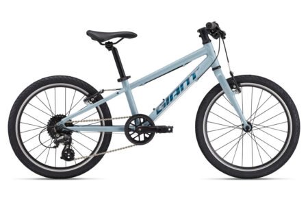 Bērnu velosipēds Giant ARX 20 Soap Suds (2025.g.)