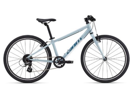 Bērnu velosipēds Giant ARX 24 Soap Suds (2025.g.)